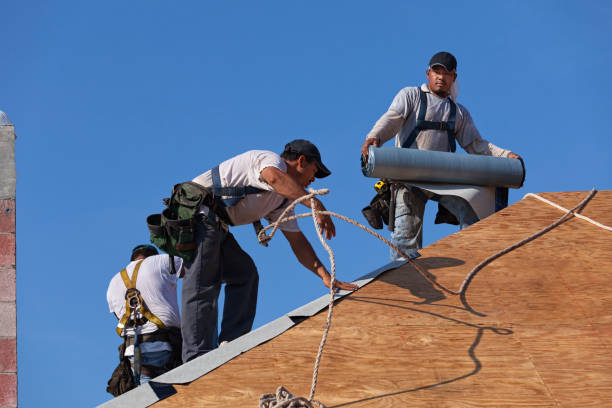 Best Local Roofing Companies  in Guthrie, KY